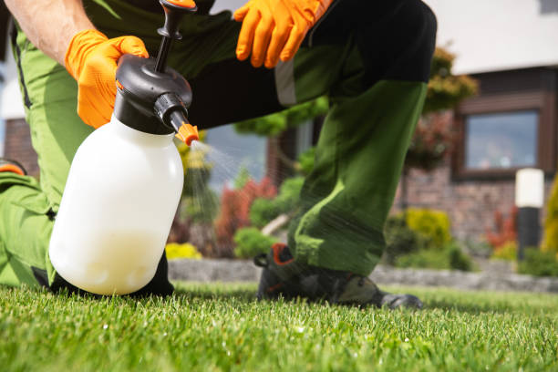 Best Termite Control Services  in Warren, OH