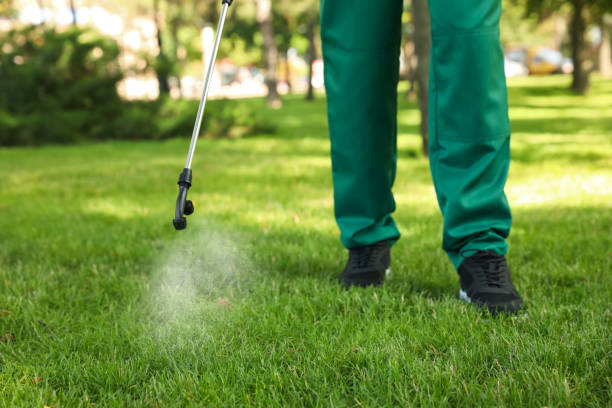 Flea Control Services in Warren, OH