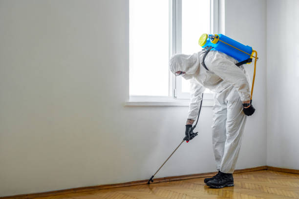 Best Mosquito Control Services  in Warren, OH