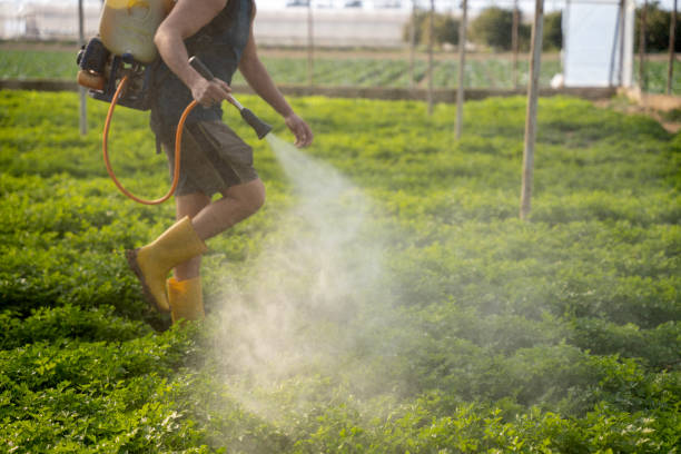 Best Pest Control Cost  in Warren, OH
