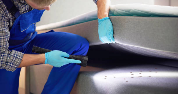Best Pest Control Near Me  in Warren, OH
