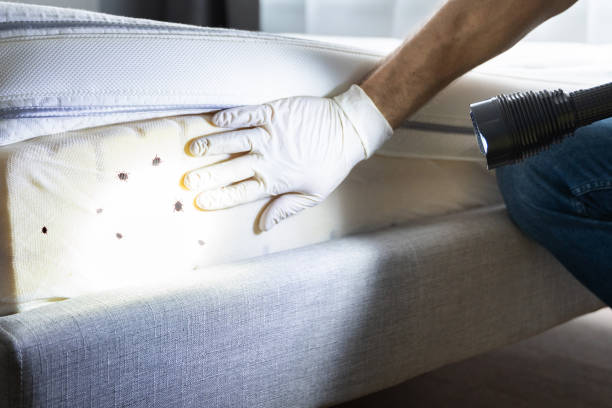 Best Pest Removal Services  in Warren, OH