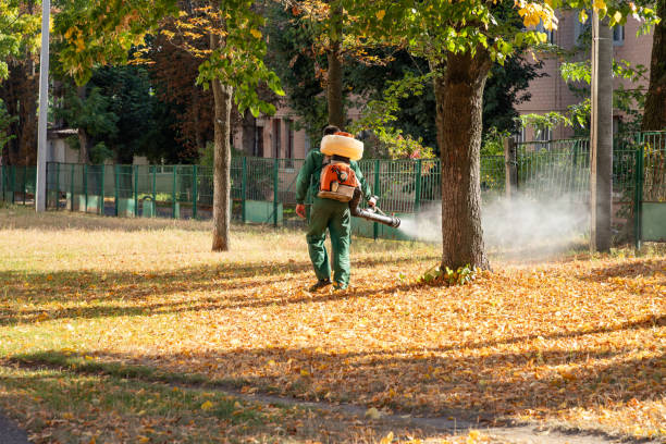 Best Affordable Pest Control Services  in Warren, OH